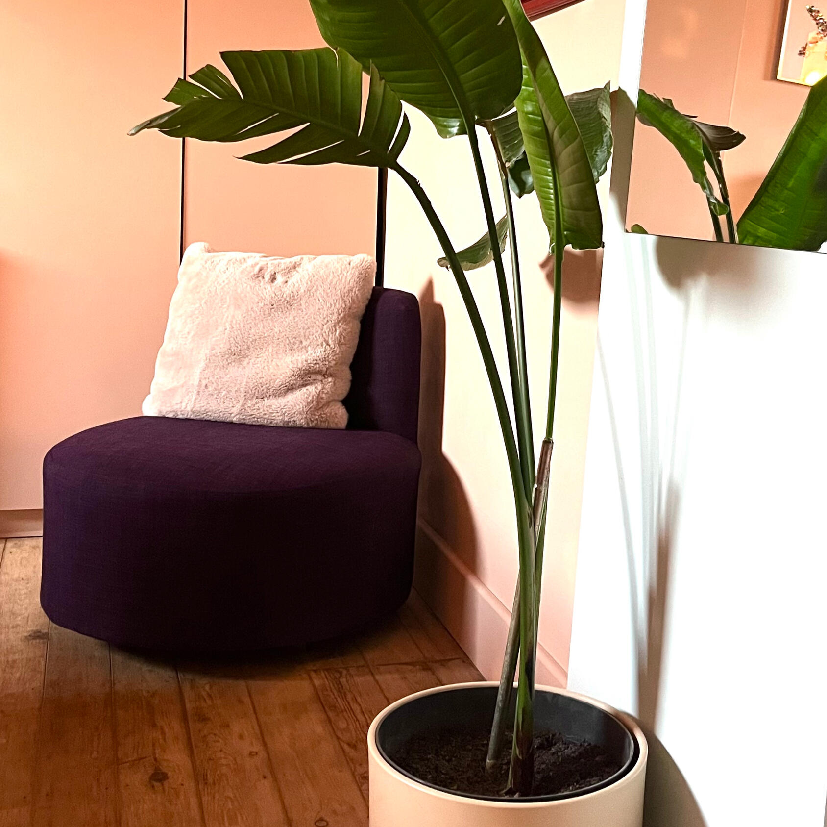 fauteuil